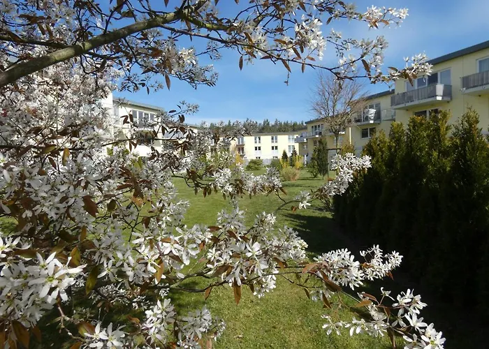 Kuestenzimmer Ii * Graal-Mueritz